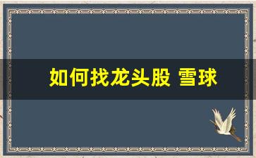 如何找龙头股 雪球(怎么去找龙头股)_https://www.taocizhiliang.com_装修流程_第1张